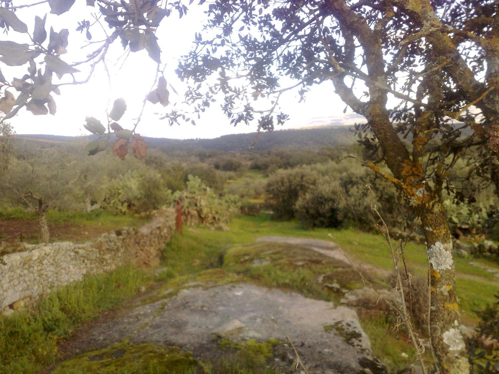 Apartamentos El Jardin Del Poeta Guijo de Granadilla Exteriör bild