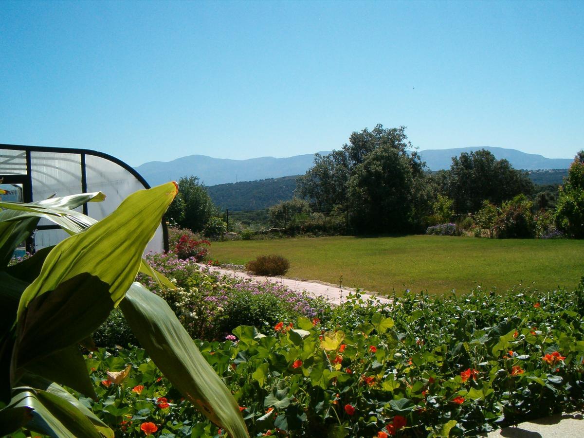 Apartamentos El Jardin Del Poeta Guijo de Granadilla Exteriör bild