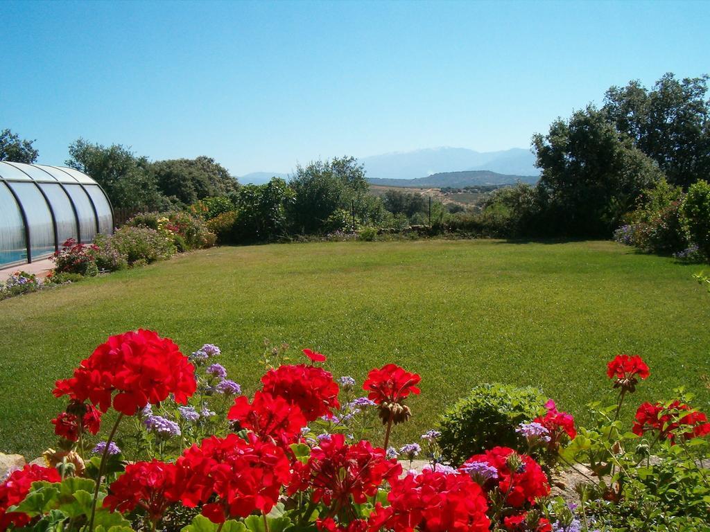 Apartamentos El Jardin Del Poeta Guijo de Granadilla Exteriör bild