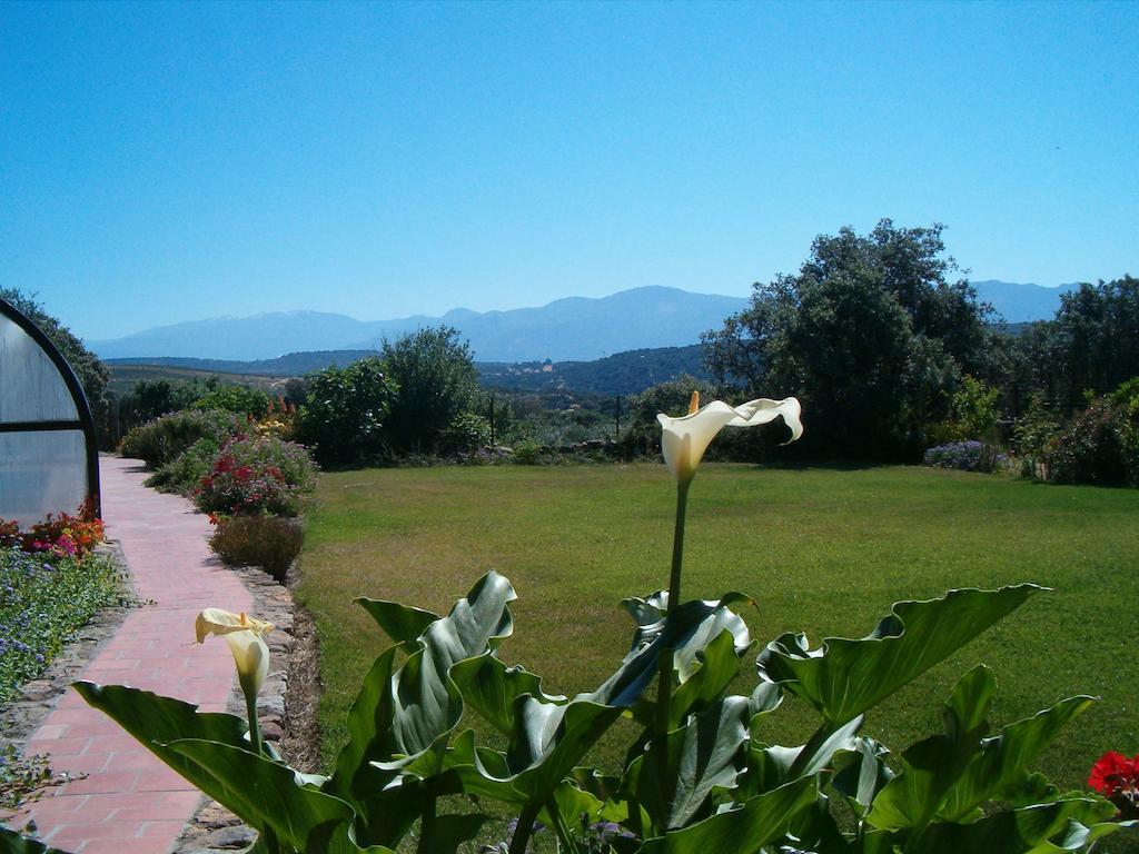 Apartamentos El Jardin Del Poeta Guijo de Granadilla Exteriör bild